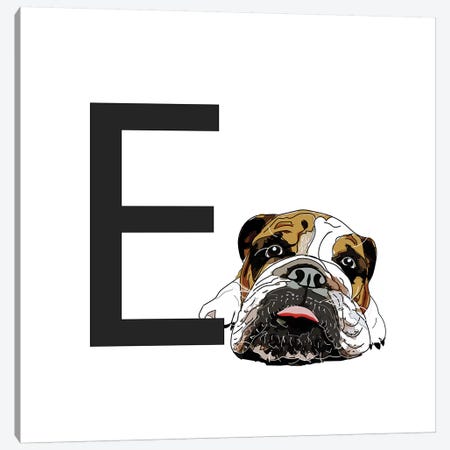 E Is For English Bulldog Canvas Print #SAP114} by Sketch and Paws Canvas Art