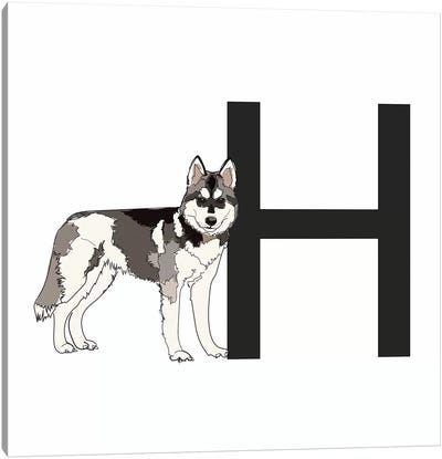 H Is For Husky Canvas Art Print - Sketch and Paws