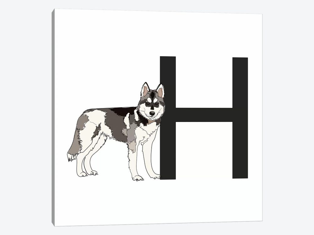H Is For Husky by Sketch and Paws 1-piece Canvas Art