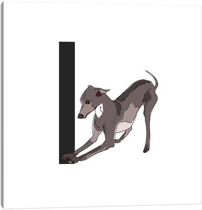 I Is For Italian Greyhound Canvas Art Print - Letter I