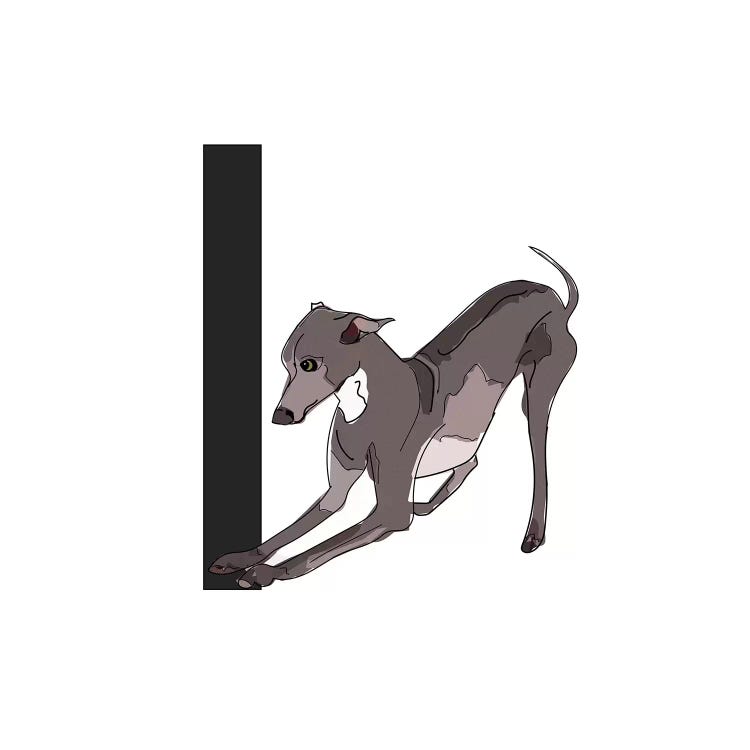 I Is For Italian Greyhound