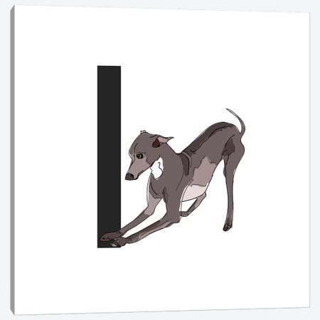 I Is For Italian Greyhound Canvas Print #SAP118} by Sketch and Paws Canvas Art Print