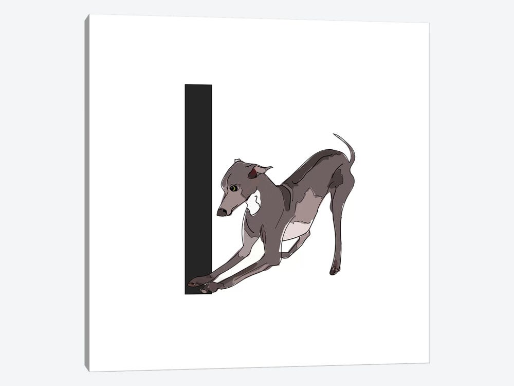 I Is For Italian Greyhound by Sketch and Paws 1-piece Canvas Art Print