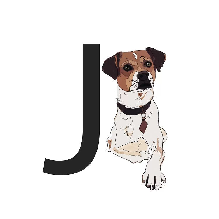 J Is For Jack Russell Terrier