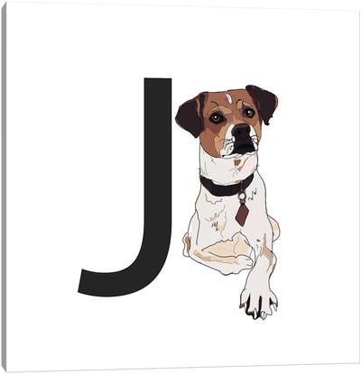 J Is For Jack Russell Terrier Canvas Art Print - Sketch and Paws