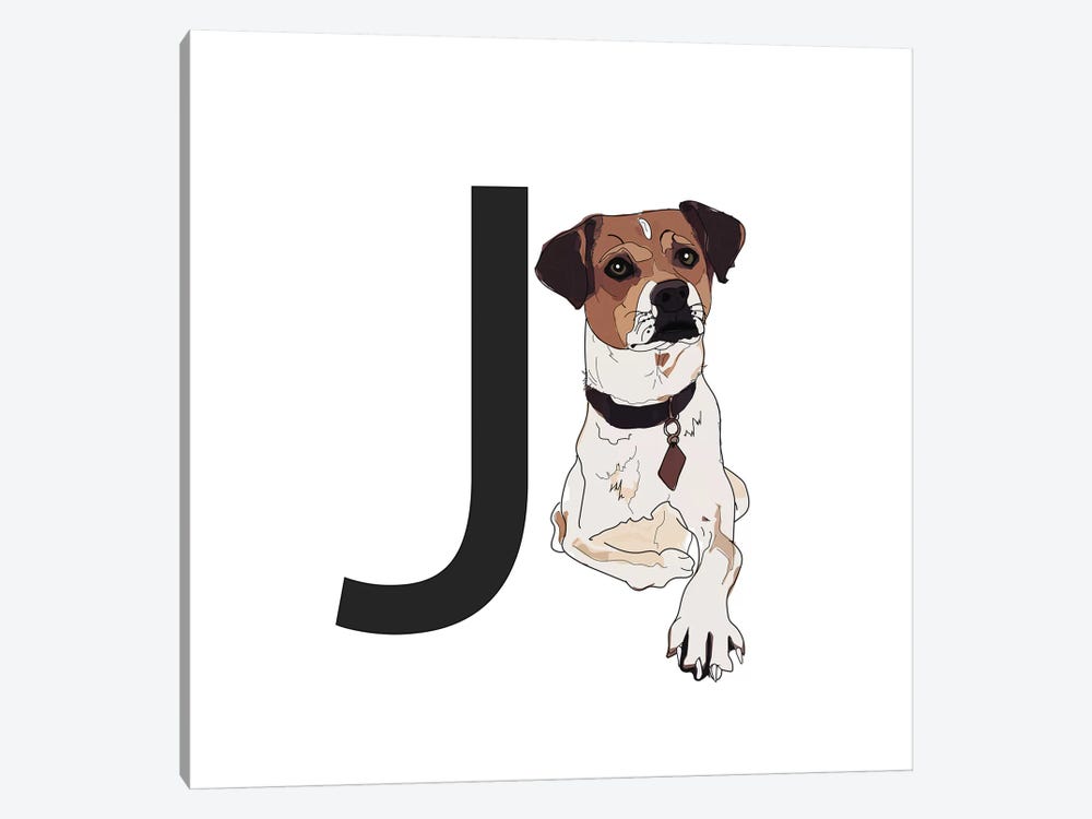 J Is For Jack Russell Terrier by Sketch and Paws 1-piece Canvas Wall Art