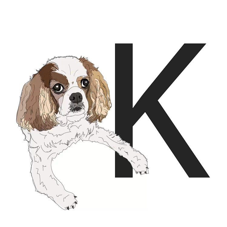 K Is For King Charles Cavalier