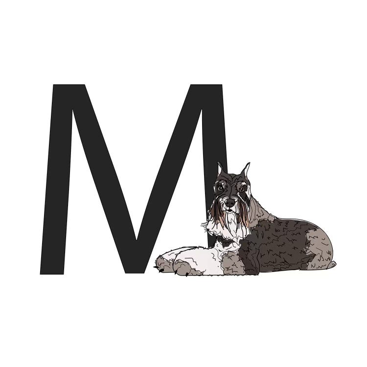 M Is For Miniature Schnauzer