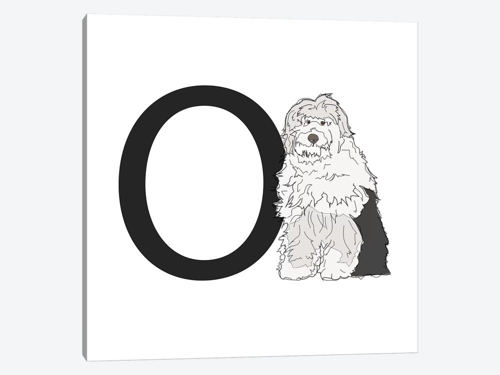 O Is For Old English Sheepdog by Sketch and Paws 1-piece Canvas Artwork