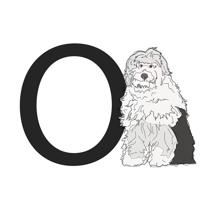 O Is For Old English Sheepdog