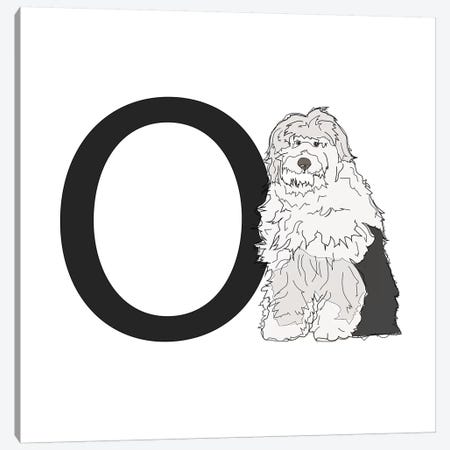 O Is For Old English Sheepdog Canvas Print #SAP124} by Sketch and Paws Art Print