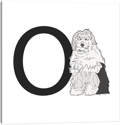 O Is For Old English Sheepdog Canvas Art Print - Old English Sheepdog Art