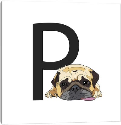 P Is For Pug Canvas Art Print - Letter P