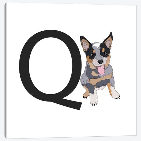 Q Is For Queensland Heeler Canvas Print #SAP126} by Sketch and Paws Canvas Art Print