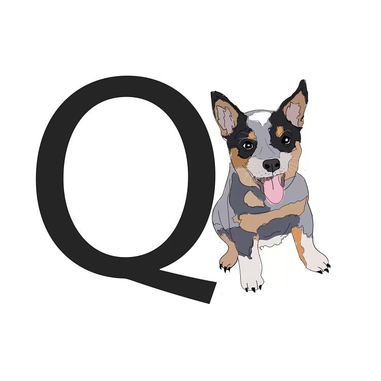 Q Is For Queensland Heeler