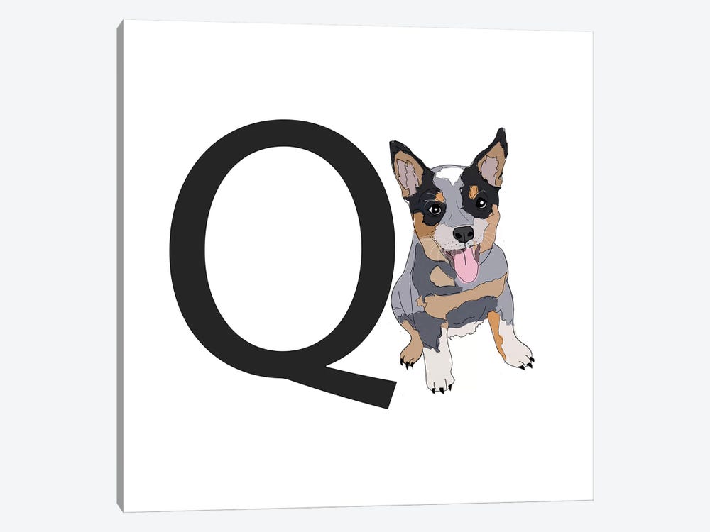 Q Is For Queensland Heeler by Sketch and Paws 1-piece Canvas Art