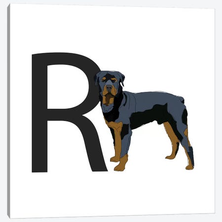 R Is For Rottweiler Canvas Print #SAP127} by Sketch and Paws Canvas Art Print