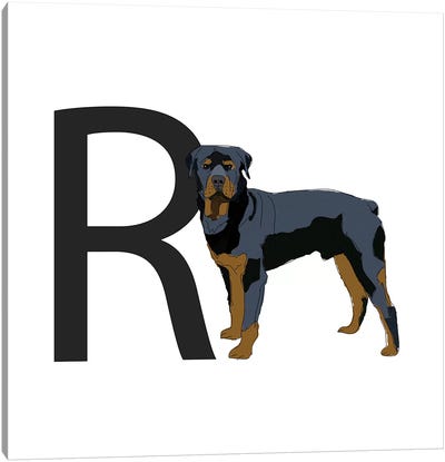 R Is For Rottweiler Canvas Art Print - Letter R