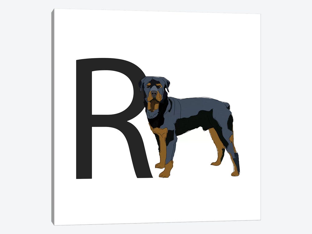 R Is For Rottweiler by Sketch and Paws 1-piece Canvas Art Print