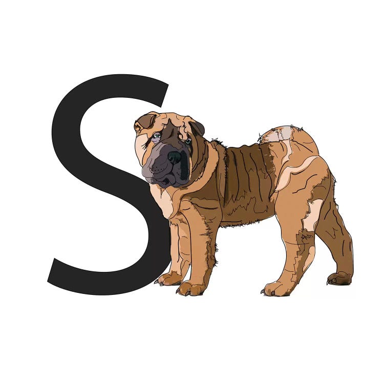 S Is For Shar Pei