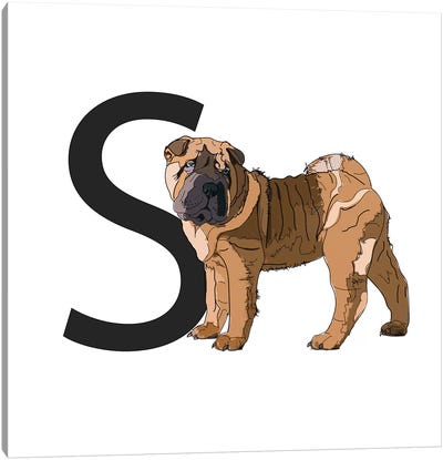 S Is For Shar Pei Canvas Art Print - Sketch and Paws