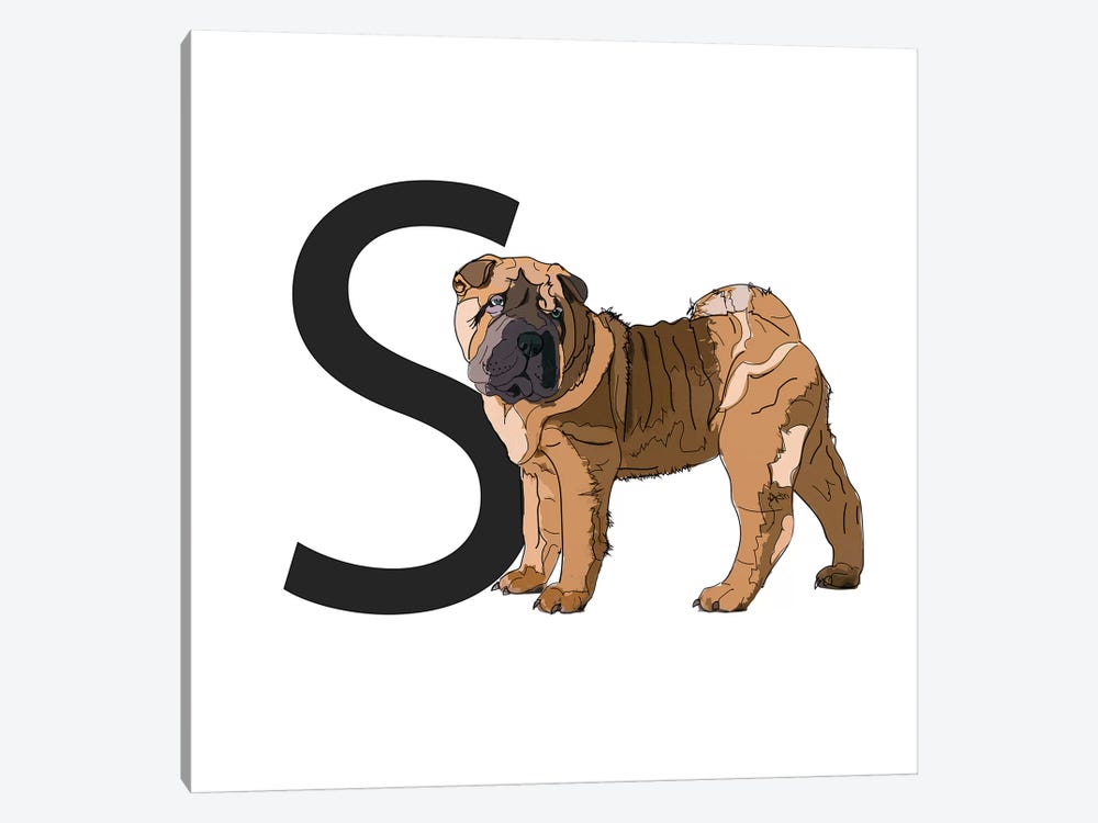 S Is For Shar Pei by Sketch and Paws 1-piece Canvas Artwork