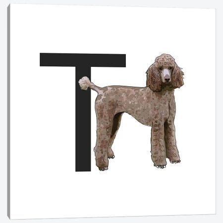 T Is For Toy Poodle Canvas Print #SAP129} by Sketch and Paws Canvas Artwork