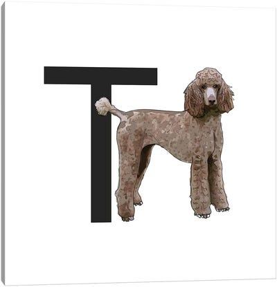 T Is For Toy Poodle Canvas Art Print - Letter T