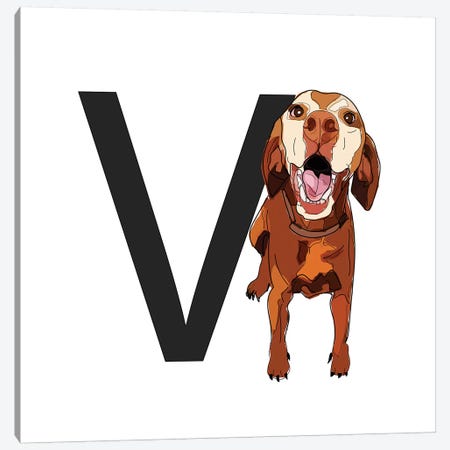V Is For Vizsla Canvas Print #SAP131} by Sketch and Paws Art Print