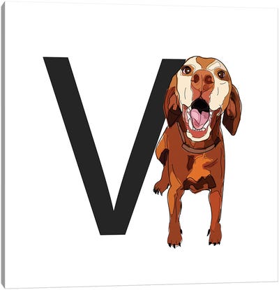 V Is For Vizsla Canvas Art Print - Sketch and Paws