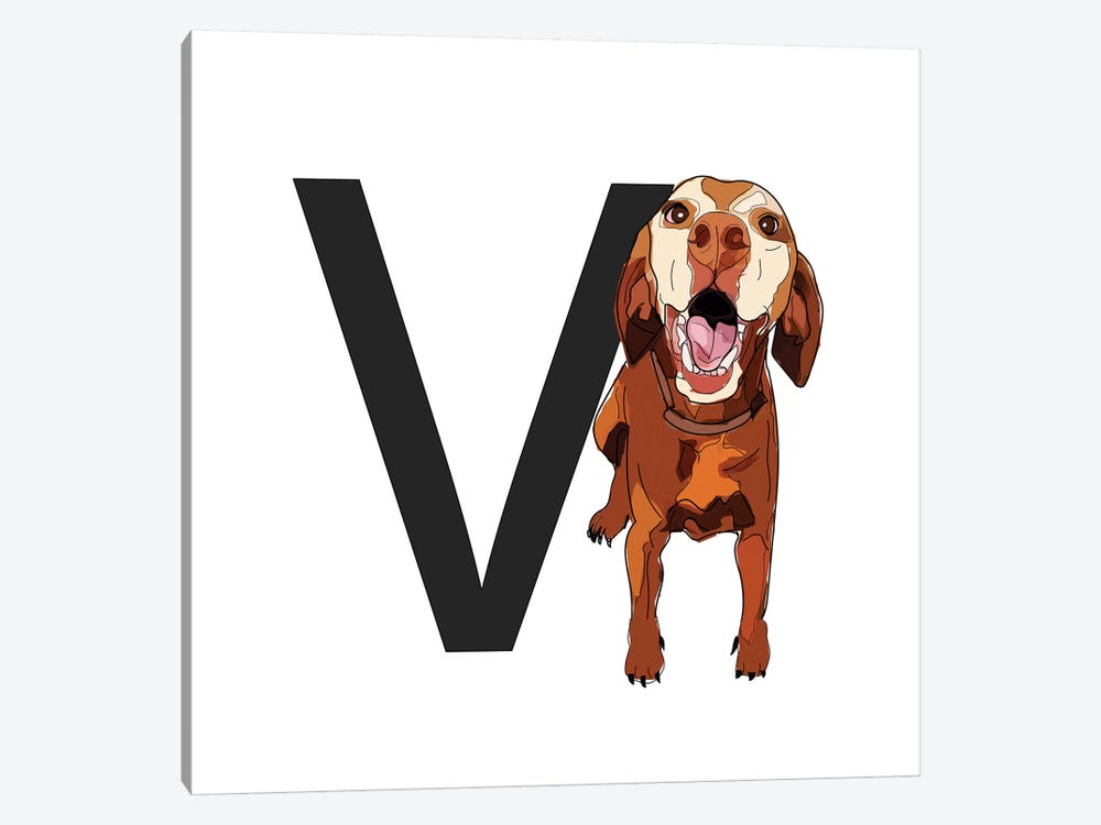 V Is For Vizsla by Sketch and Paws 1-piece Canvas Art