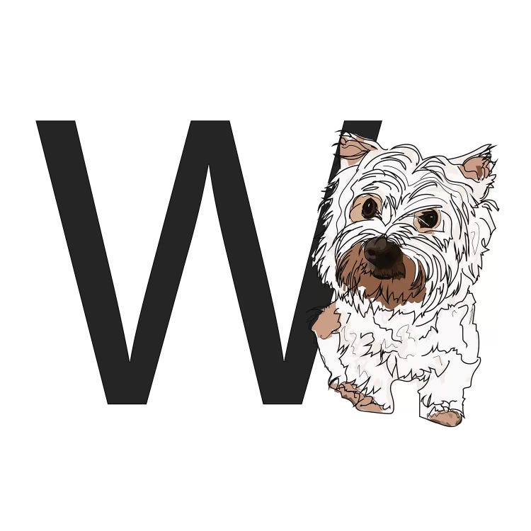 W Is For West Highland White Terrier (Westie)