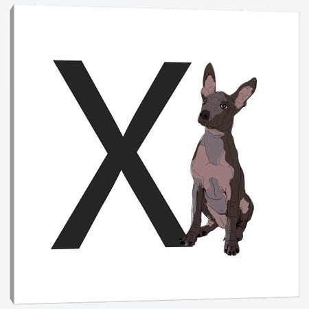 X Is For Xoloitzcuintli (Xolo) Canvas Print #SAP133} by Sketch and Paws Canvas Art Print