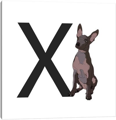 X Is For Xoloitzcuintli (Xolo) Canvas Art Print - Sketch and Paws