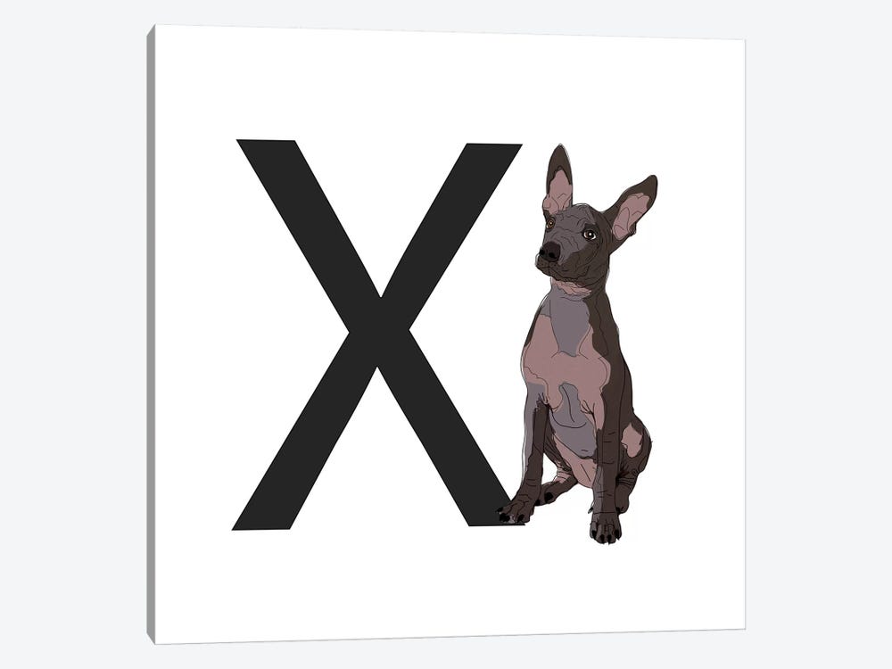 X Is For Xoloitzcuintli (Xolo) by Sketch and Paws 1-piece Canvas Artwork