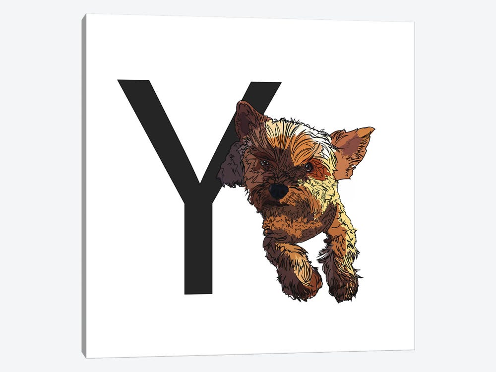 Y Is For Yorkshire Terrier by Sketch and Paws 1-piece Art Print