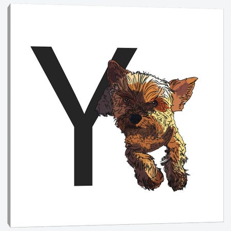 Y Is For Yorkshire Terrier Canvas Print #SAP134} by Sketch and Paws Canvas Art