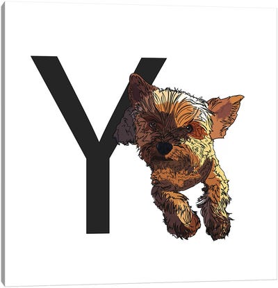Y Is For Yorkshire Terrier Canvas Art Print - Letter Y