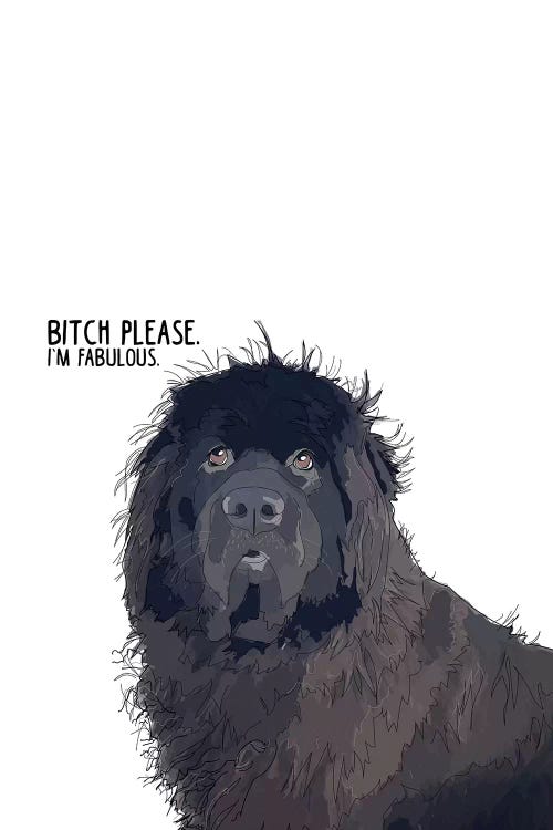 Bitch Please Newfie