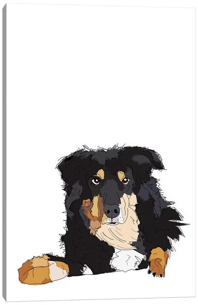 Border Collie Canvas Art Print - Sketch and Paws