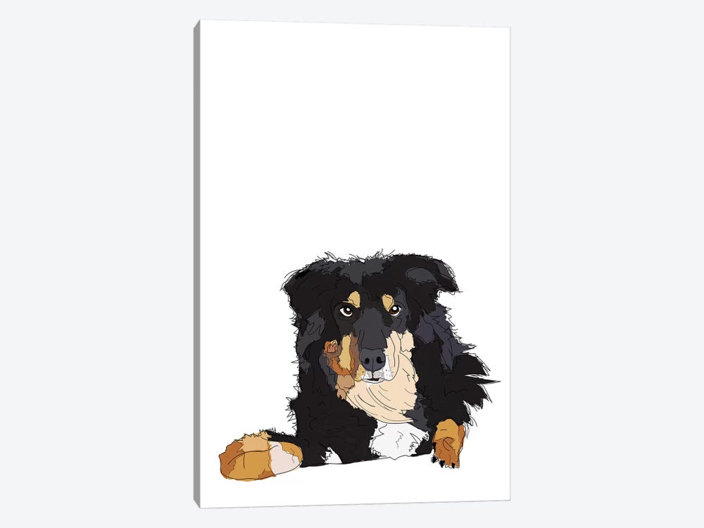 Border Collie by Sketch and Paws 1-piece Art Print