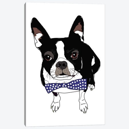 Boston With Bowtie Canvas Print #SAP21} by Sketch and Paws Canvas Artwork