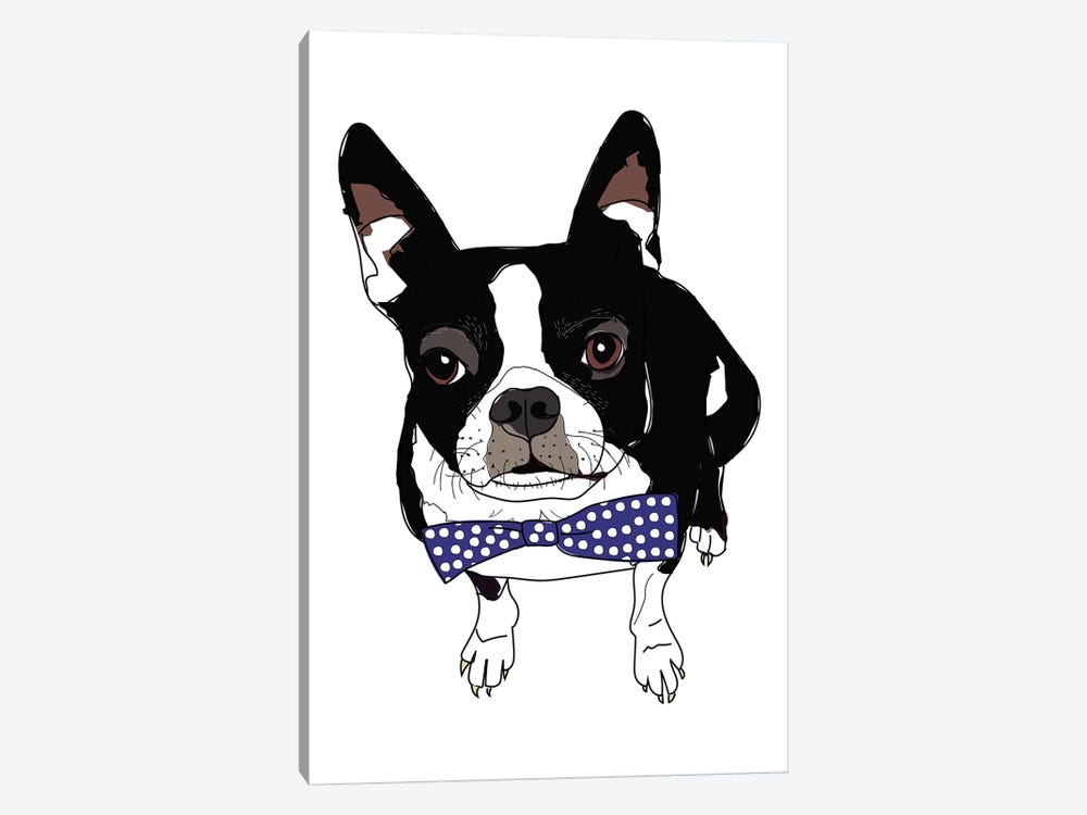 Boston With Bowtie by Sketch and Paws 1-piece Canvas Wall Art