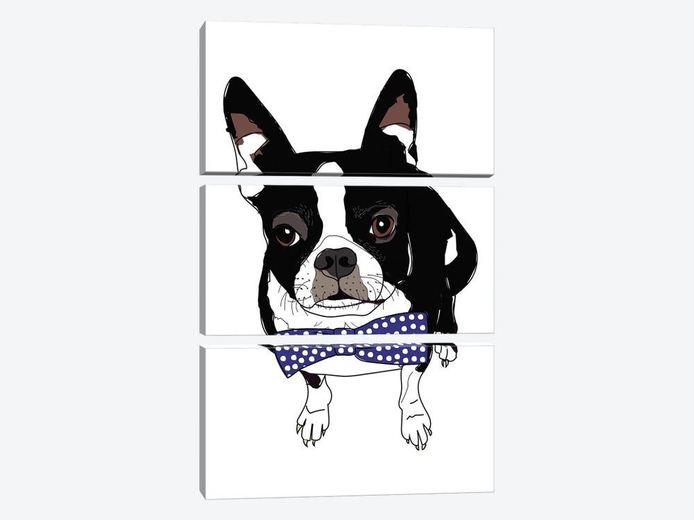 Boston With Bowtie by Sketch and Paws 3-piece Canvas Wall Art