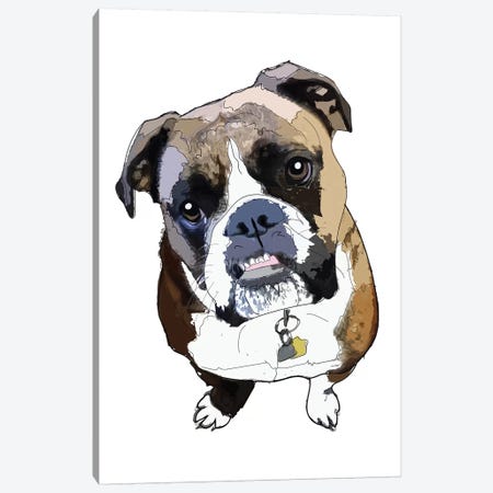 Boxer Canvas Print #SAP22} by Sketch and Paws Canvas Art