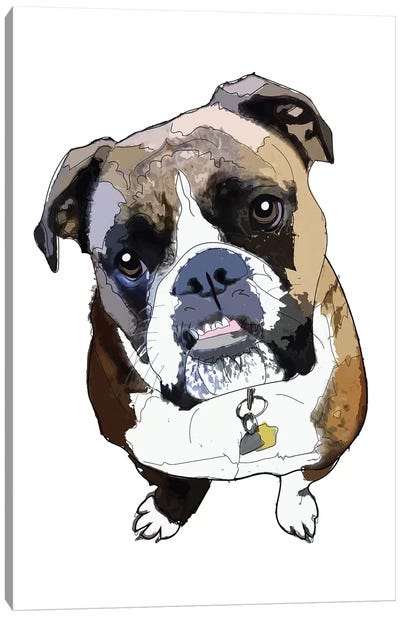 Boxer Canvas Art Print - Sketch and Paws