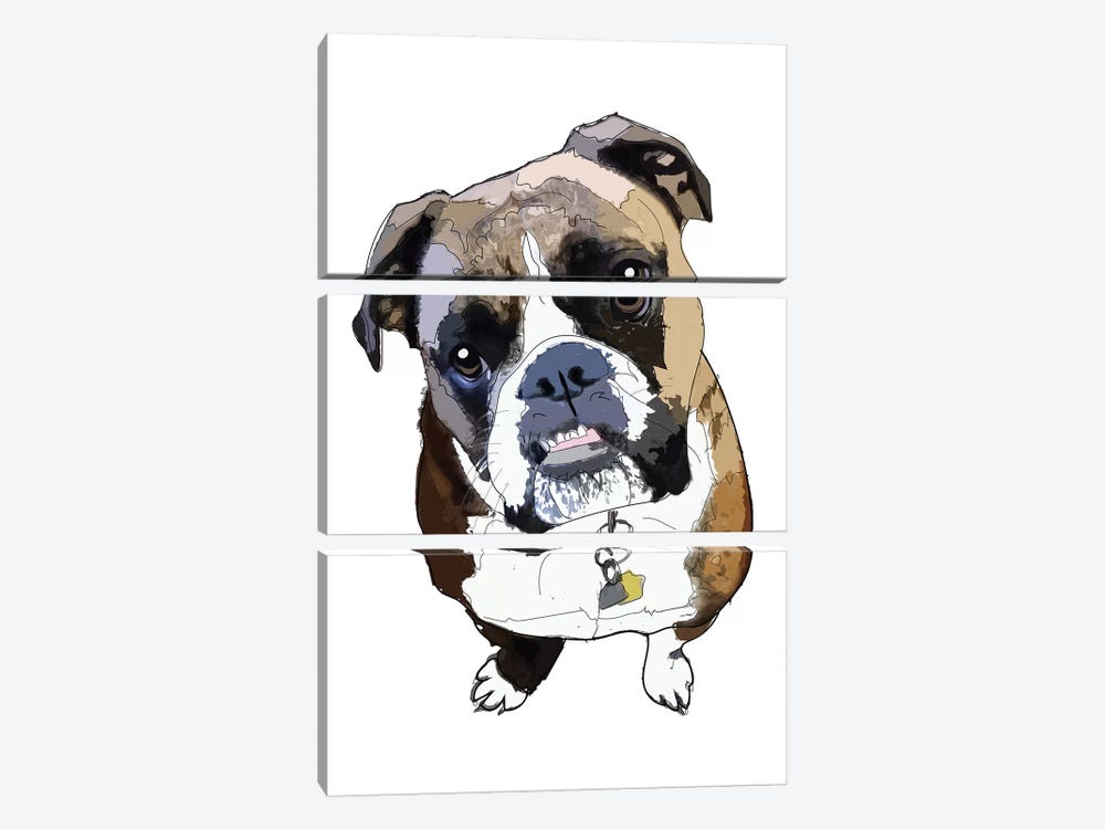 Boxer by Sketch and Paws 3-piece Canvas Print