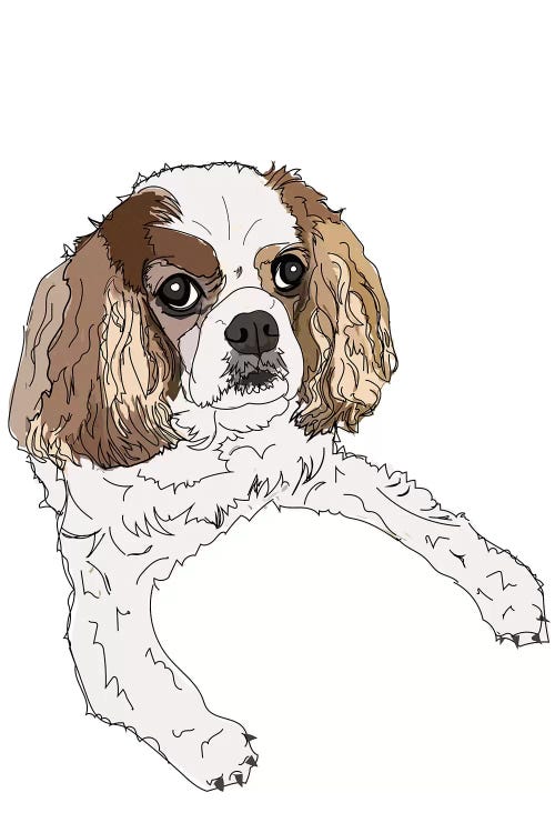 Cavalier