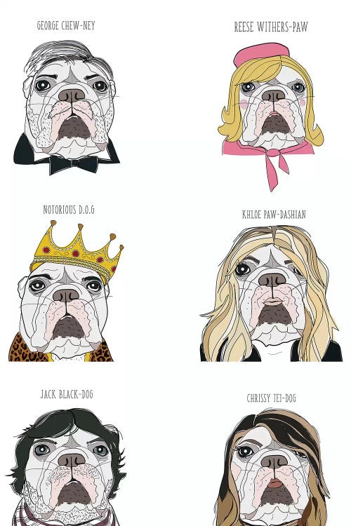 Celebrity English Bulldogs