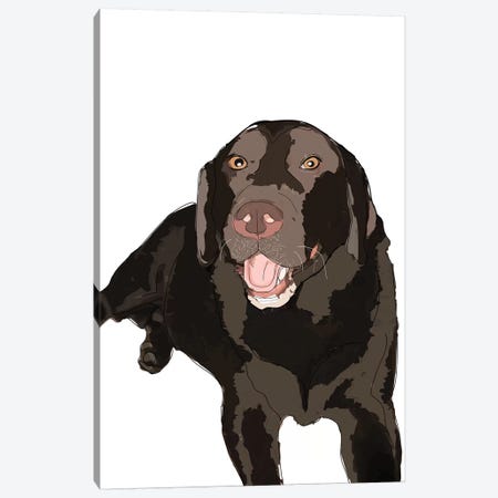 Chocolate Lab Canvas Print #SAP26} by Sketch and Paws Canvas Art Print